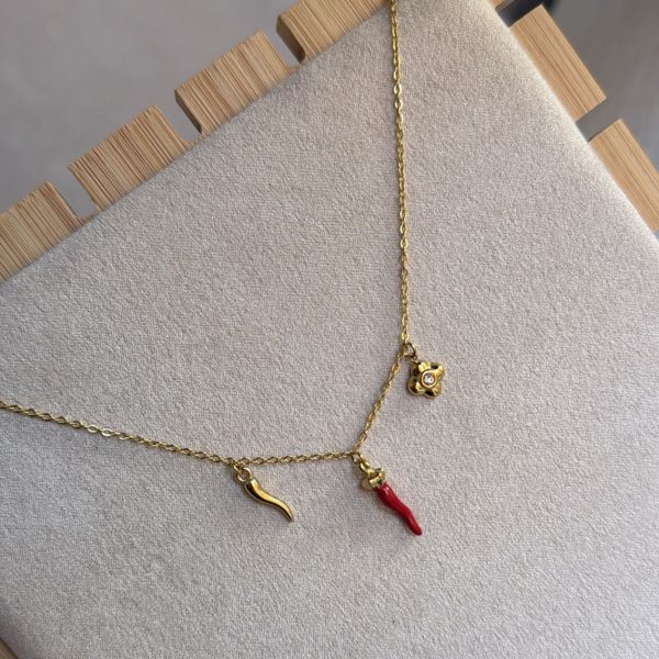 WhatsApp Image 2025-12-03 at 11.26.45