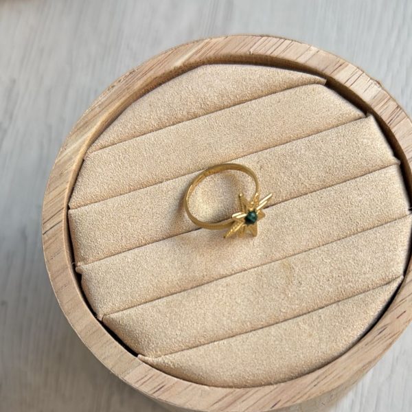 WhatsApp Image 2025-12-22 at 13.58.21 (1)